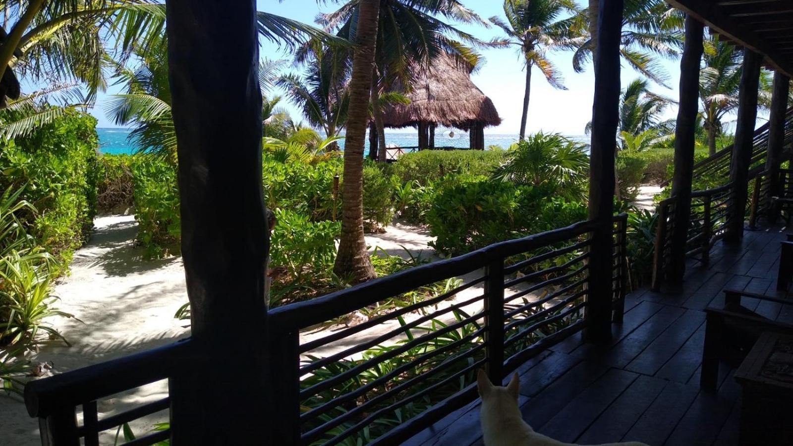 Hotel Sol Caribe Punta Allen Exterior foto